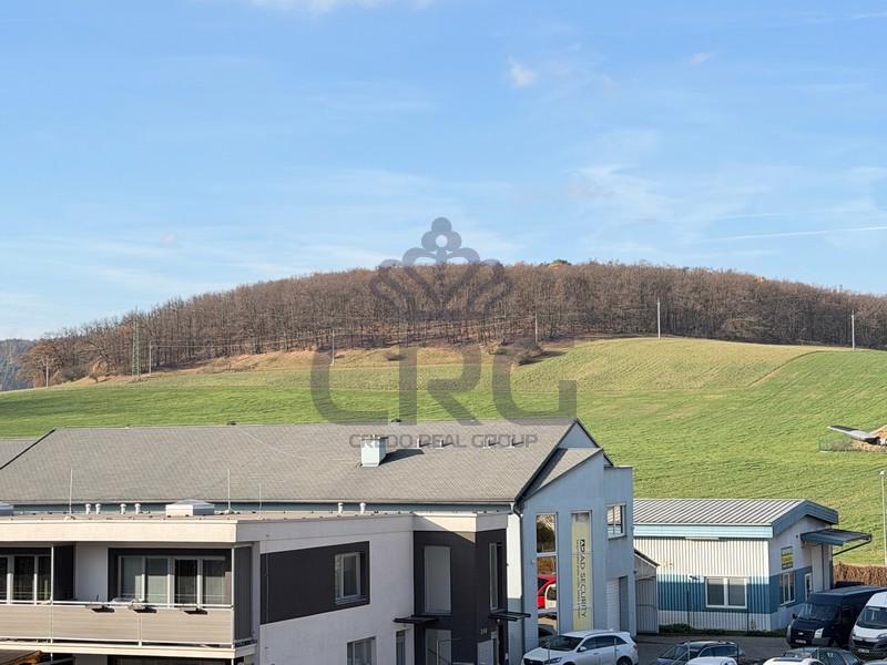 PRODEJ LUXUSNÍ NOVOSTAVBY BYTU 3+KK, OBEC ČESKÁ - foto 5