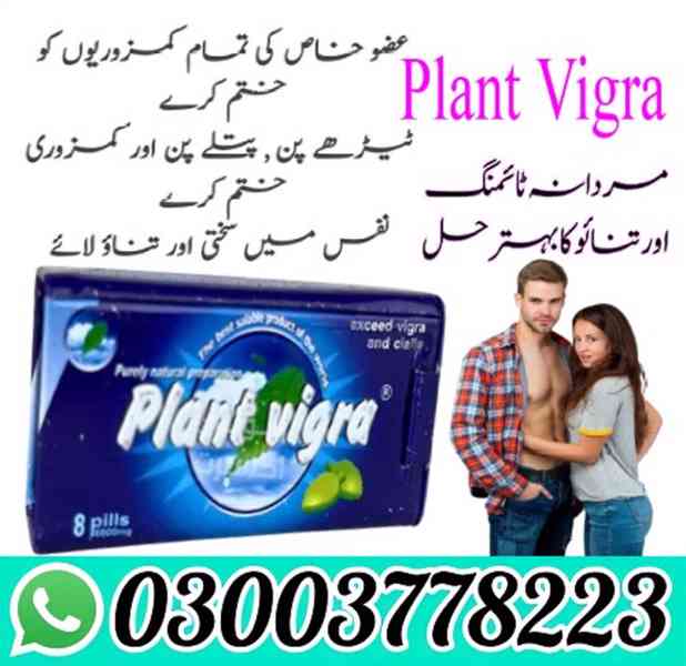 Plant Vigra Price in Pakistan 03003778223 - foto 2