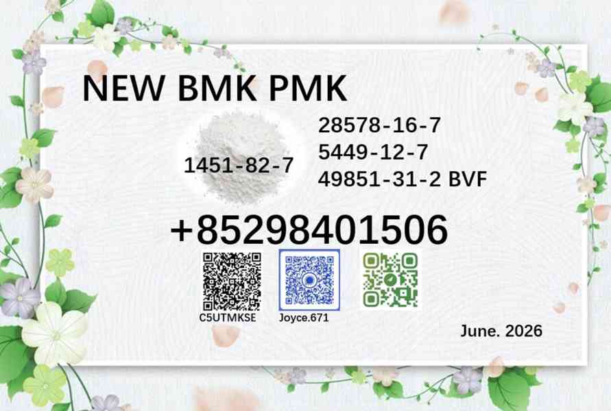 28578-16-7 Using BMK Powder 5449-12-7 PMK Oil 1451-82-7 - foto 2