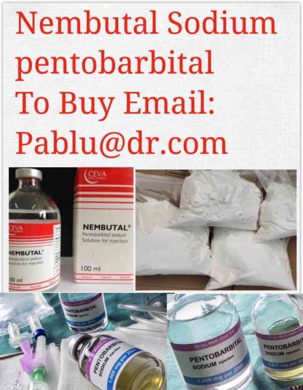 Nembutal Natriumpentobarbital, Kaufen Kontakt: Pablu@dr.com - foto 2