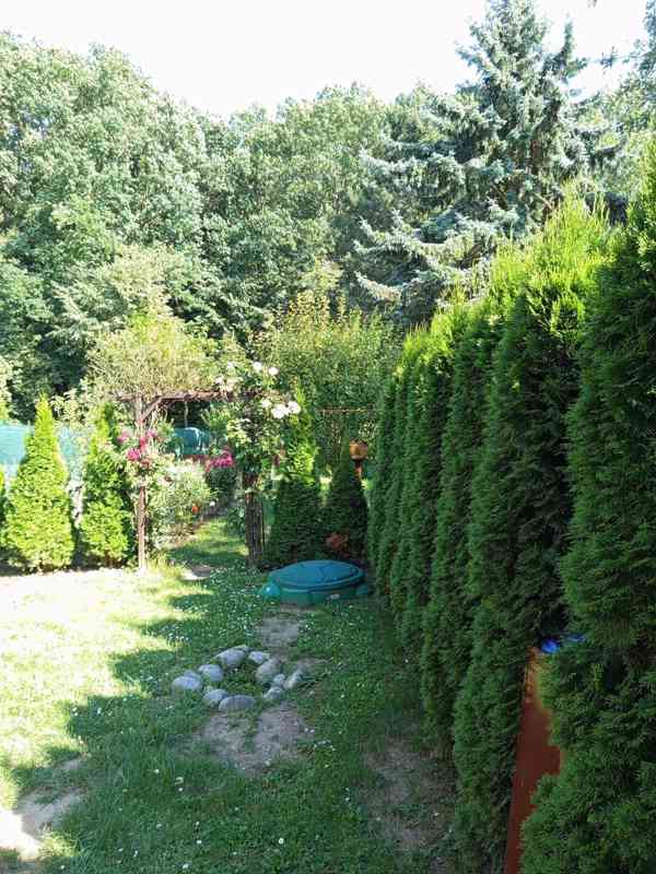 Týdenní pronájem chaty se zahradou v Kroměříži, hned u lesa - foto 6