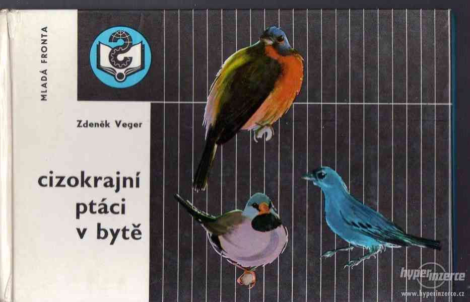 Cizokrajní ptáci v bytě  Zdeněk Veger 1969  1. vydání - foto 1