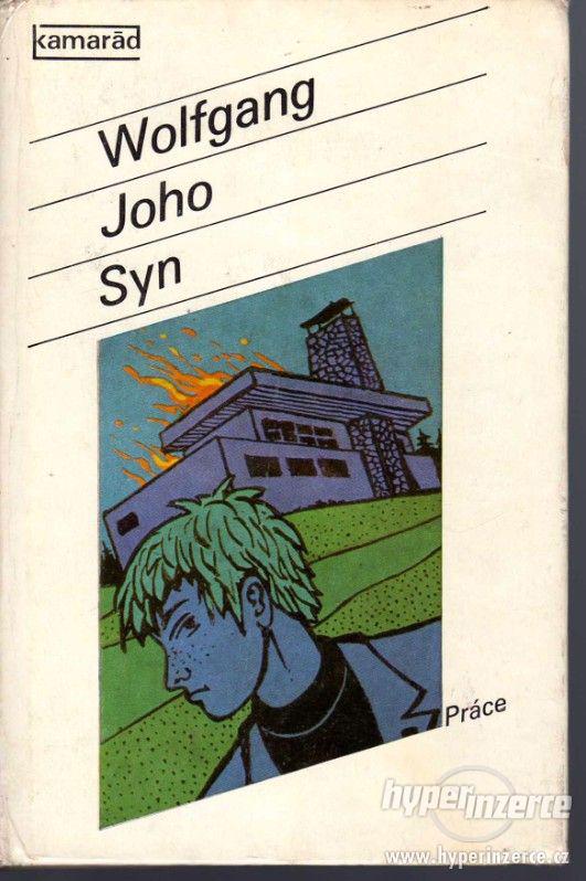 Syn Wolfgang Joho - 1. vydání - 1979 -
