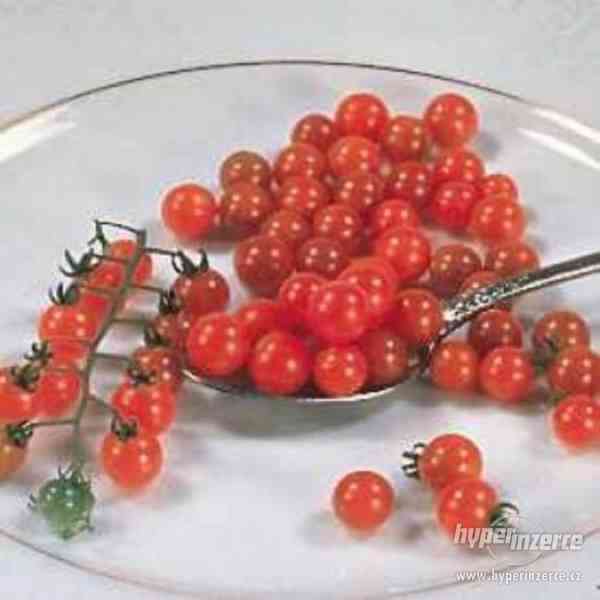Rajče Currant red - semena - foto 1
