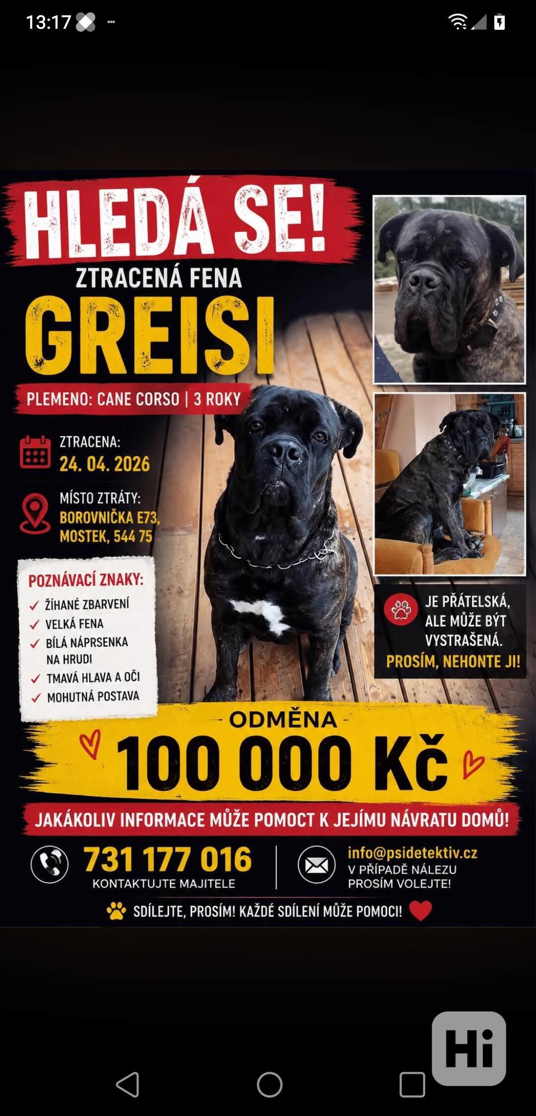 Pomáháme s hledáním. - foto 1