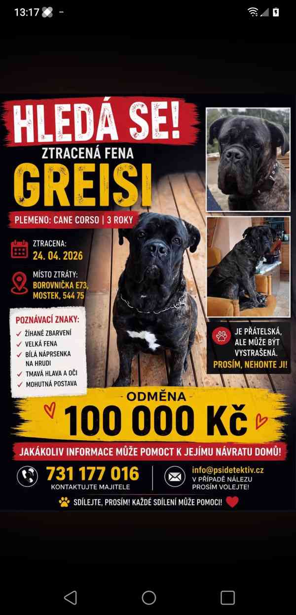 Pomáháme s hledáním. - foto 1