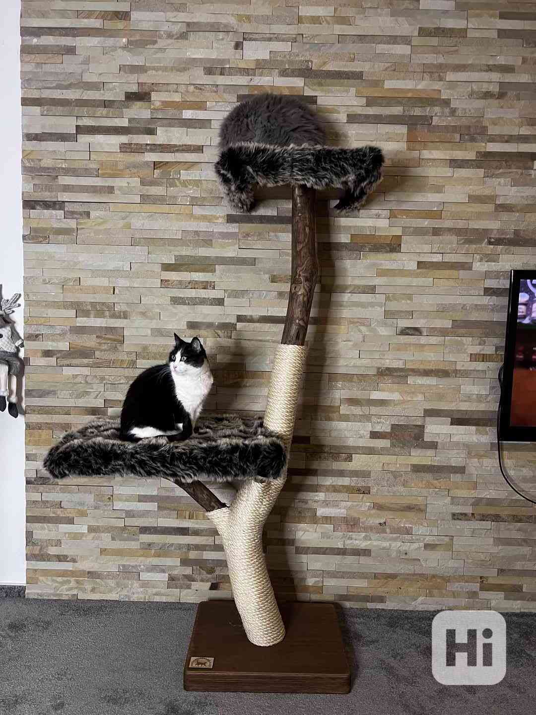 Škrabadla pro kočky  - foto 1