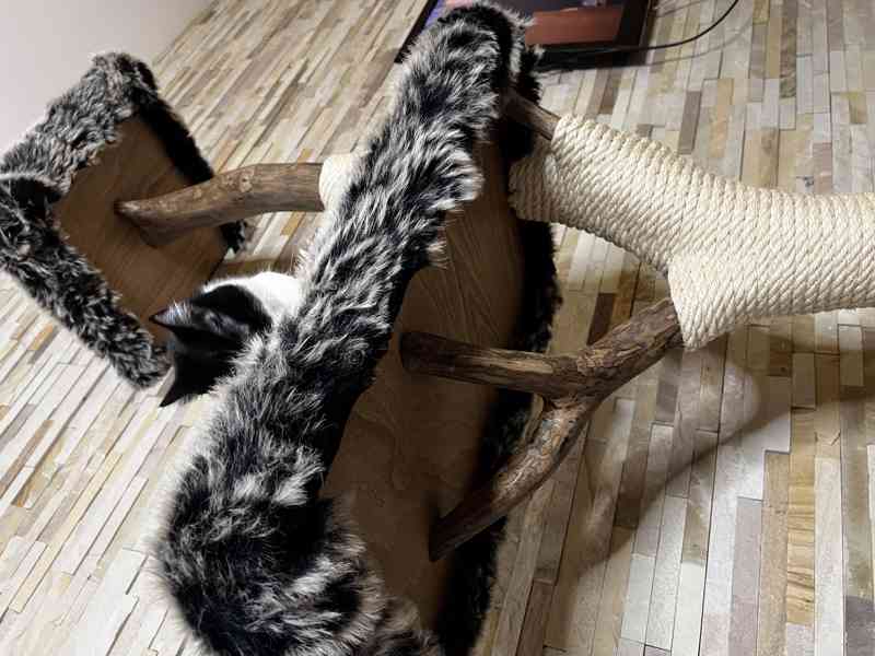 Škrabadla pro kočky  - foto 4