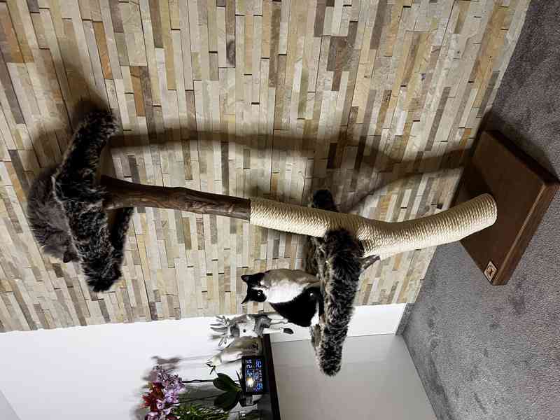 Škrabadla pro kočky  - foto 2