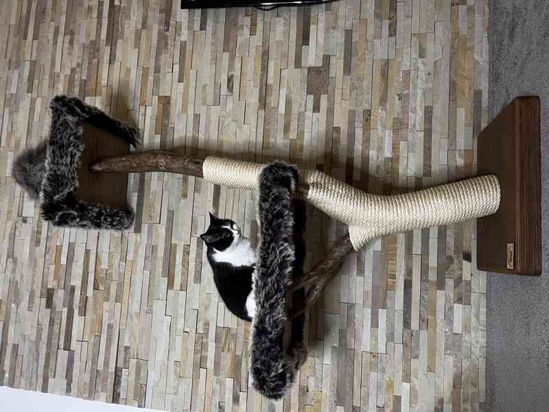 Škrabadla pro kočky  - foto 3