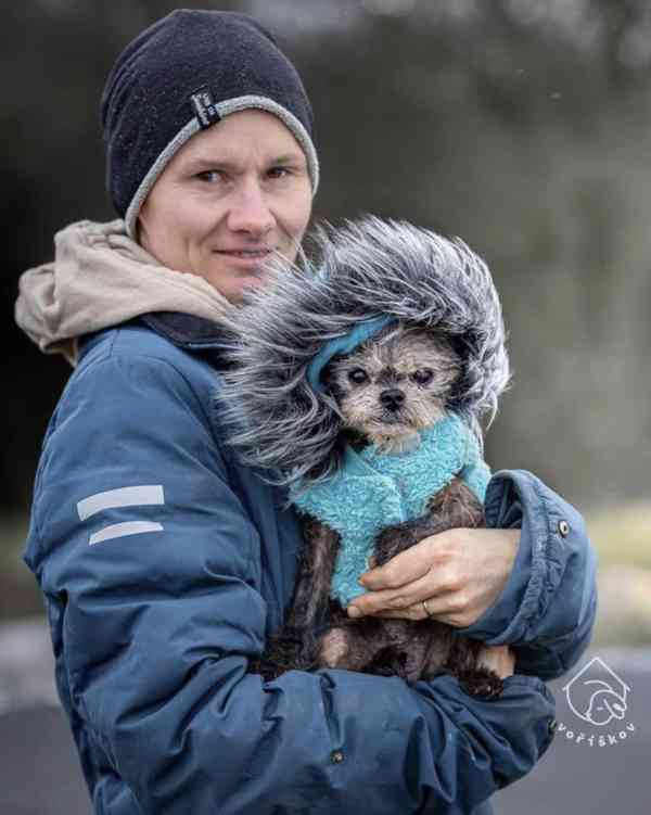 Rainman z útulku Voříškov - foto 4