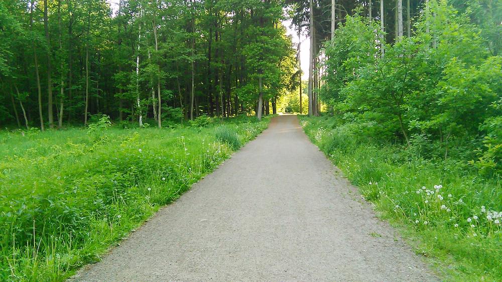 Krásný byt  3+kk/B, 82 m2, Mikulova, Praha 4 u metra Chodov - foto 16