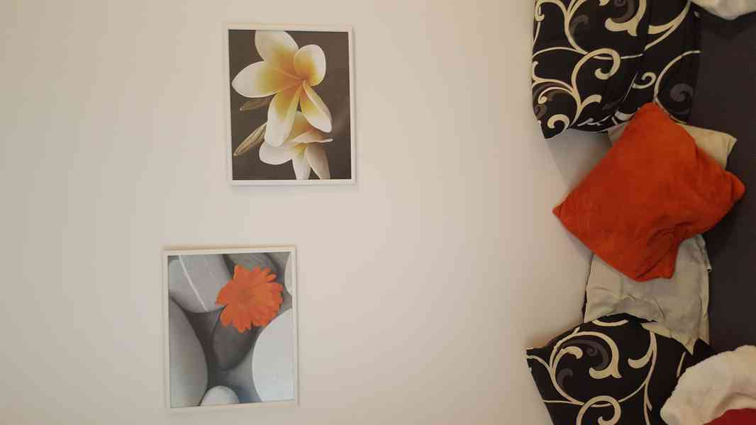 2x dekorace na stěnu 50x40 květina