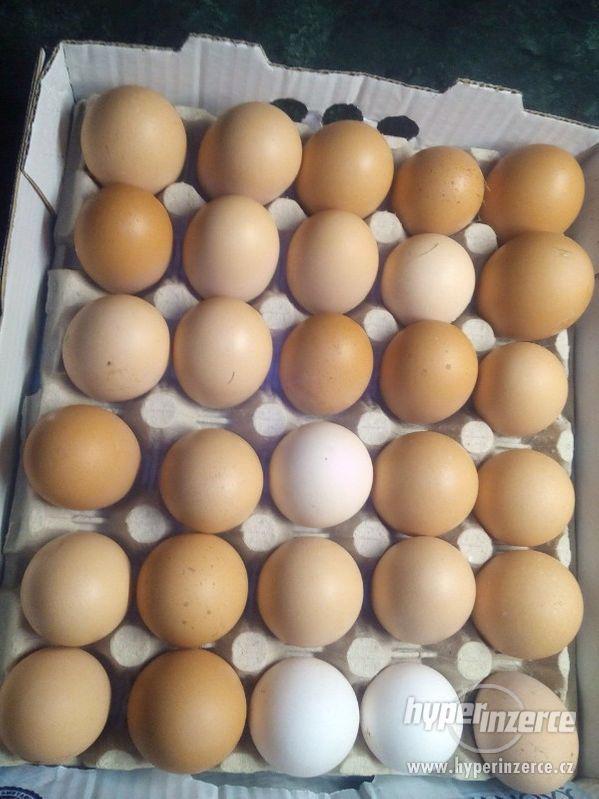 Čerstvá Bio vejce