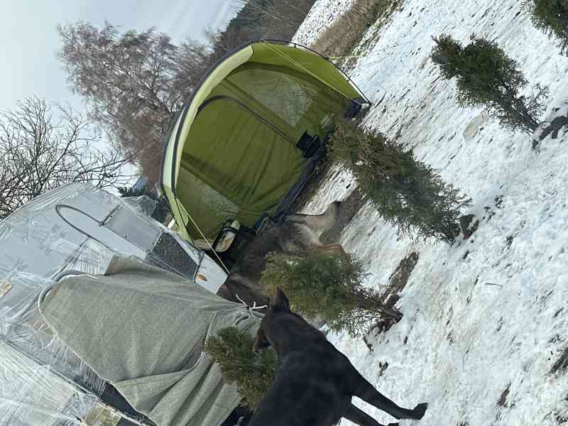 Akutní pomoc! Prosíme! - foto 2