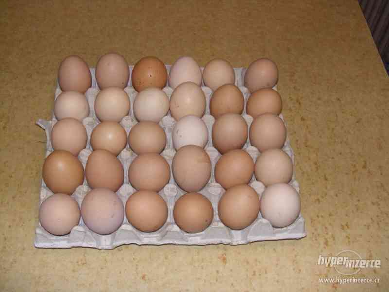 Domácí Vajíčka žádná chemie... - foto 1