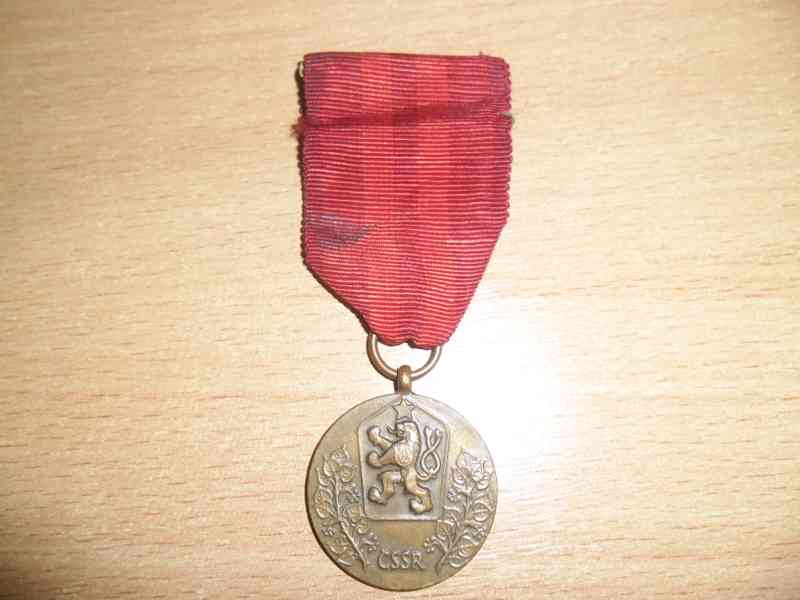 vyznamenání - Za službu vlasti