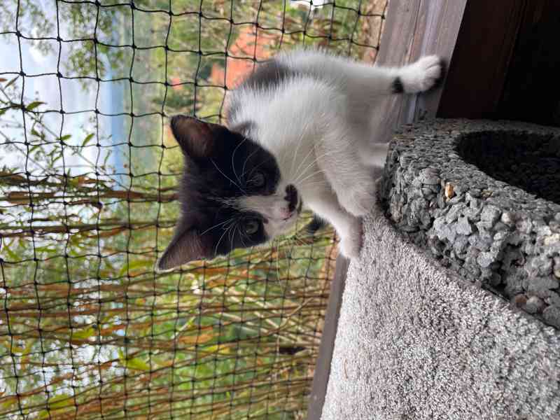 Madlenka - foto 5