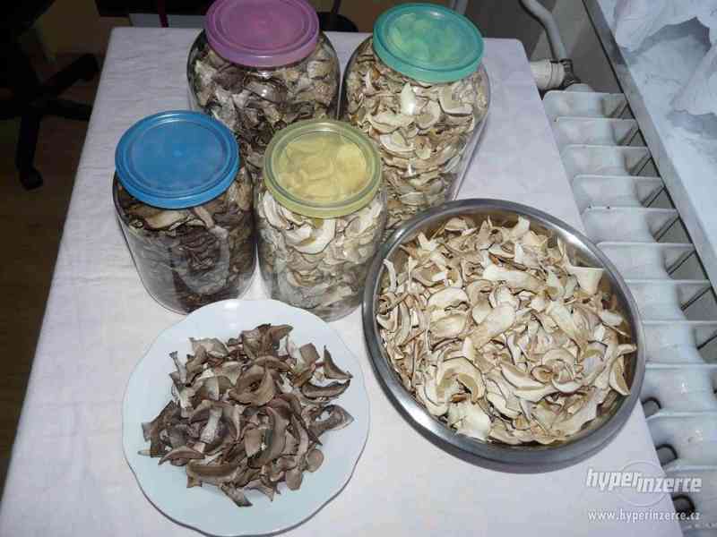 Prodám sušené houby špičkové kvality - foto 5