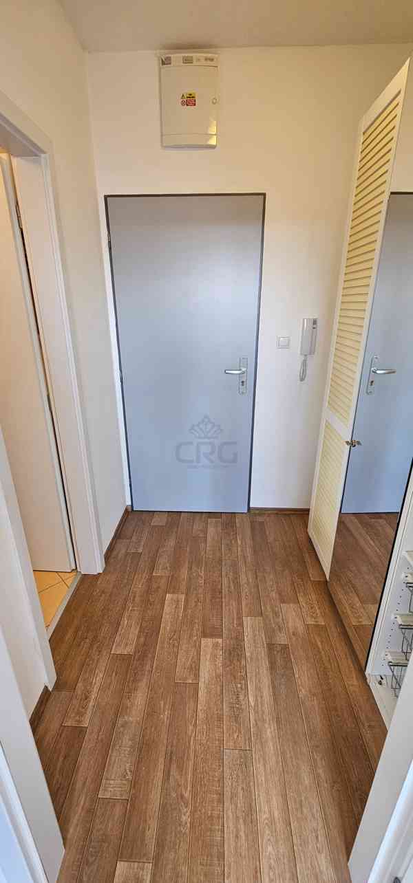 PRONÁJEM ATYPICKÉHO BYTU 1+KK, BRNO-STŘED  - foto 18