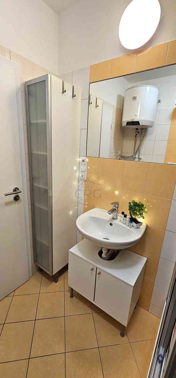 PRONÁJEM ATYPICKÉHO BYTU 1+KK, BRNO-STŘED  - foto 13