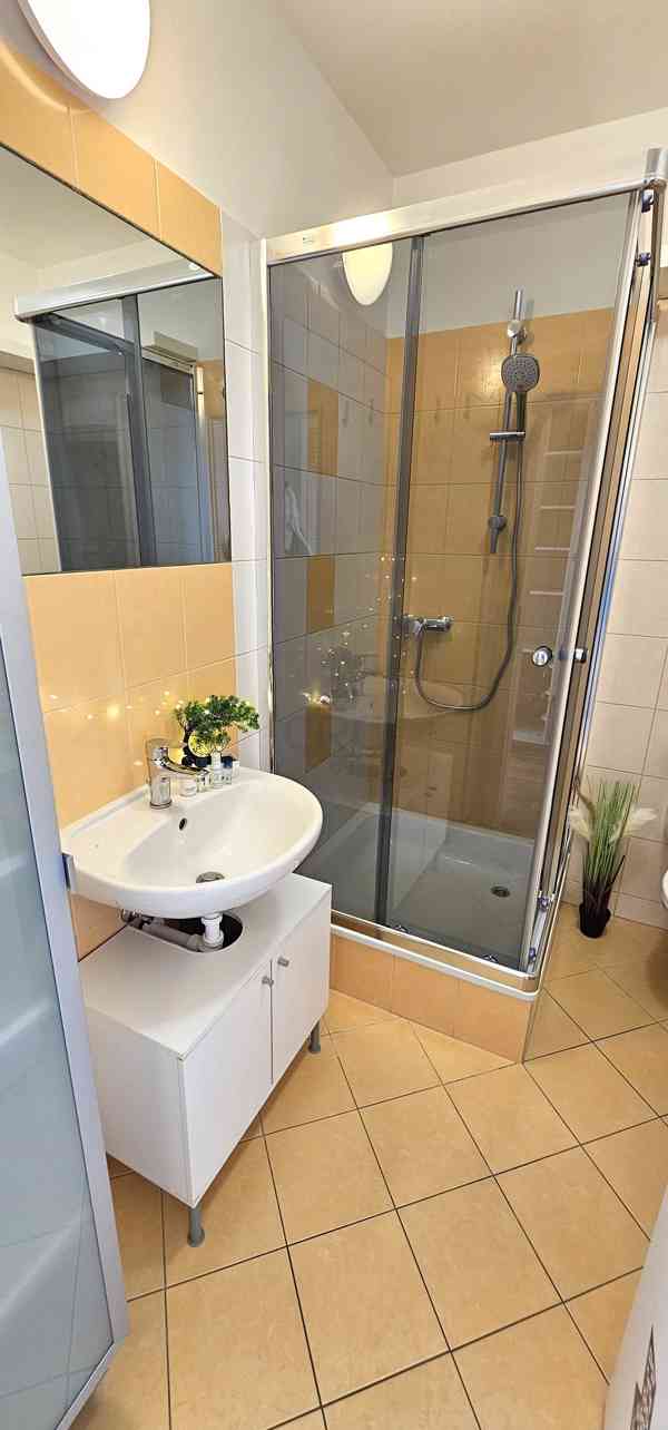 PRONÁJEM ATYPICKÉHO BYTU 1+KK, BRNO-STŘED  - foto 12