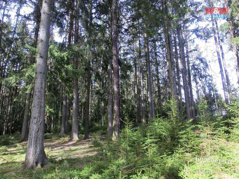 Prodej lesa, 5101 m?, Vlašim - foto 6