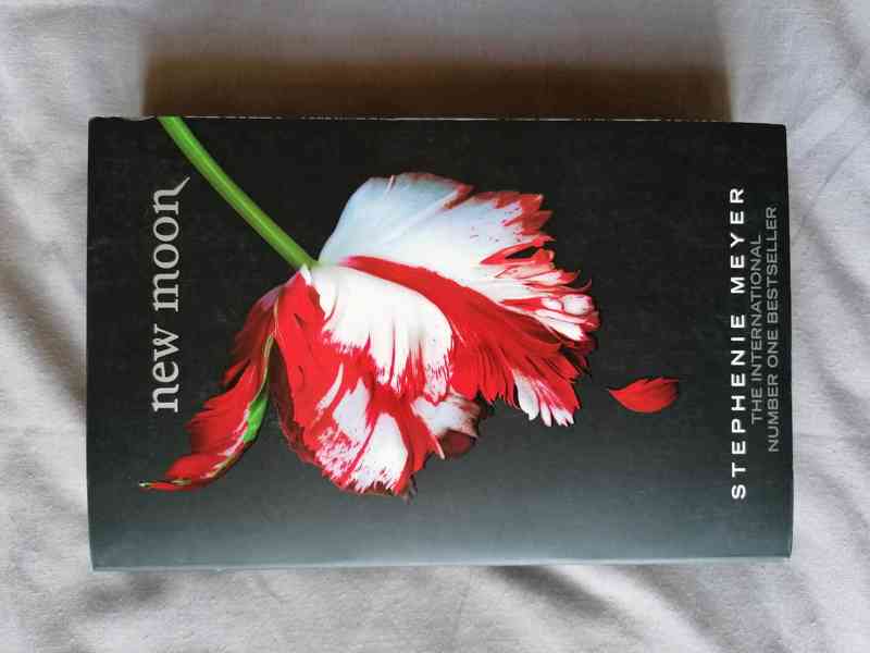 Kniha New Moon - foto 1