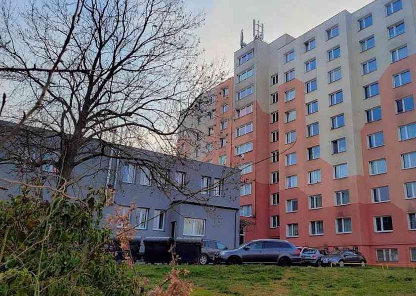Pronájem, byt 1+1, 43 m2, ul. Kreuzmannova, Plzeň - foto 10