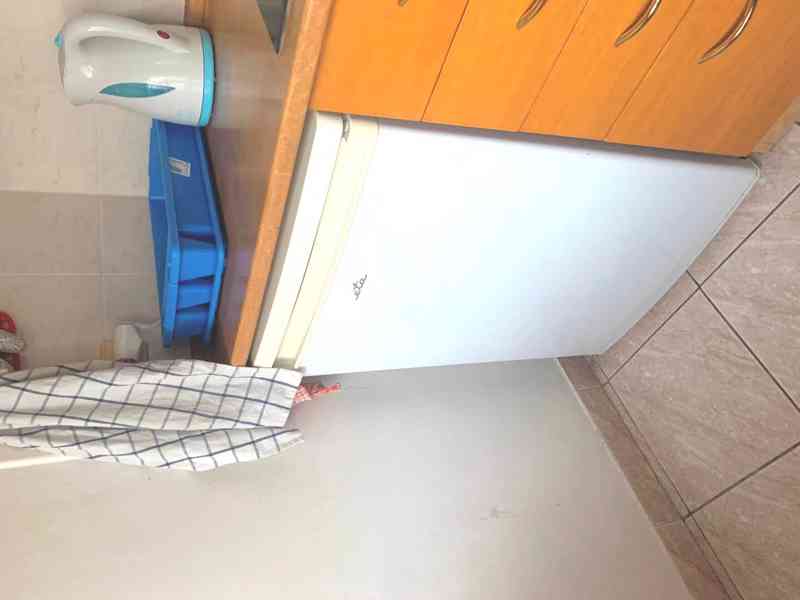 1+kk Brno centrum, ul.Mezírka, zařízený - foto 4