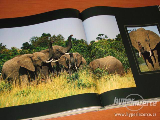 NOVÁ kniha * Jaké to je být slonem * - foto 2