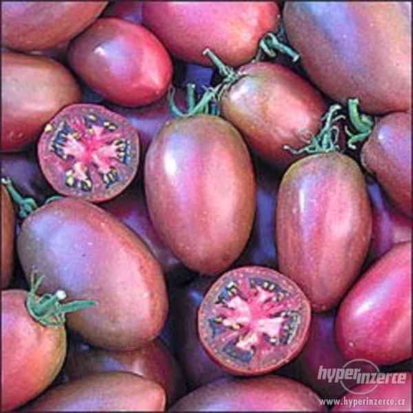 Rajče Purple Rusian Plum - semena - foto 1
