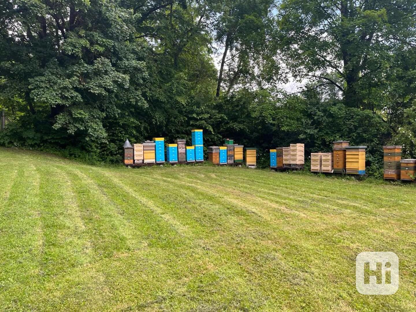 Prodám úly včetně včelstva - foto 1