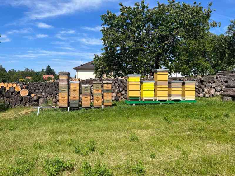 Prodám úly včetně včelstva - foto 2