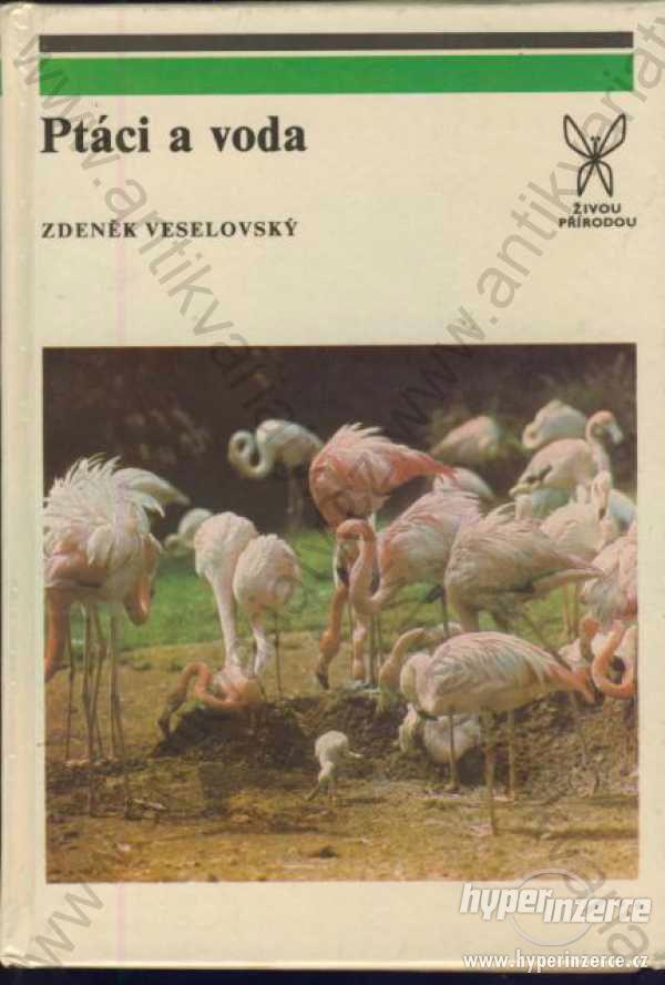 Ptáci a voda Zdeněk Veselovský Academia Praha 1987 - foto 1