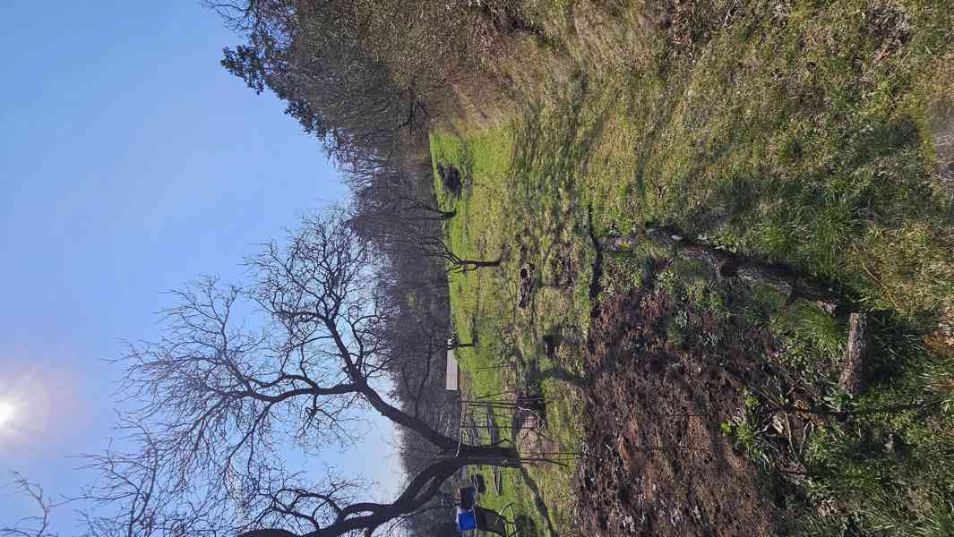 Pronájem slunné rovinaté zahrady Brno Lesná, 200m2, příjezd. - foto 2