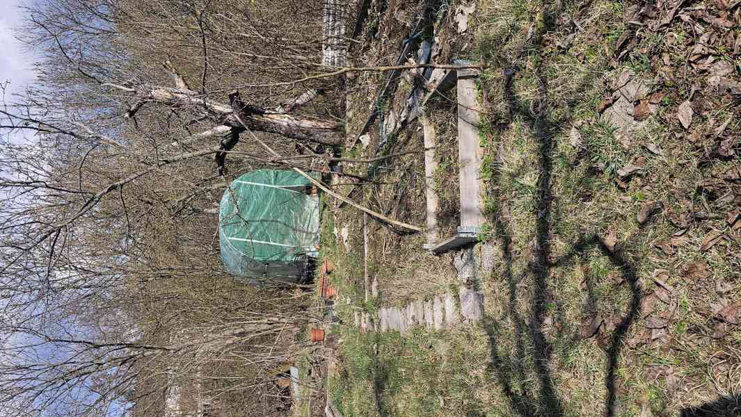Pronájem slunné rovinaté zahrady Brno Lesná, 200m2, příjezd. - foto 3