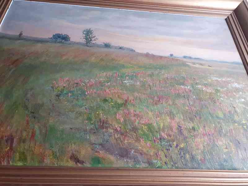 Obraz Louka s květinami - Jakl 56  - foto 2