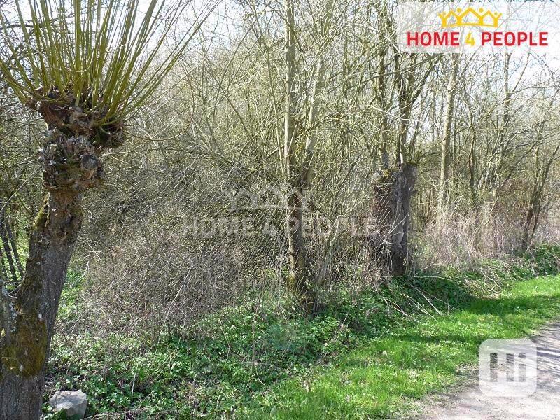 Pozemek-zahrada s možností výstavby rodinného domu - foto 8