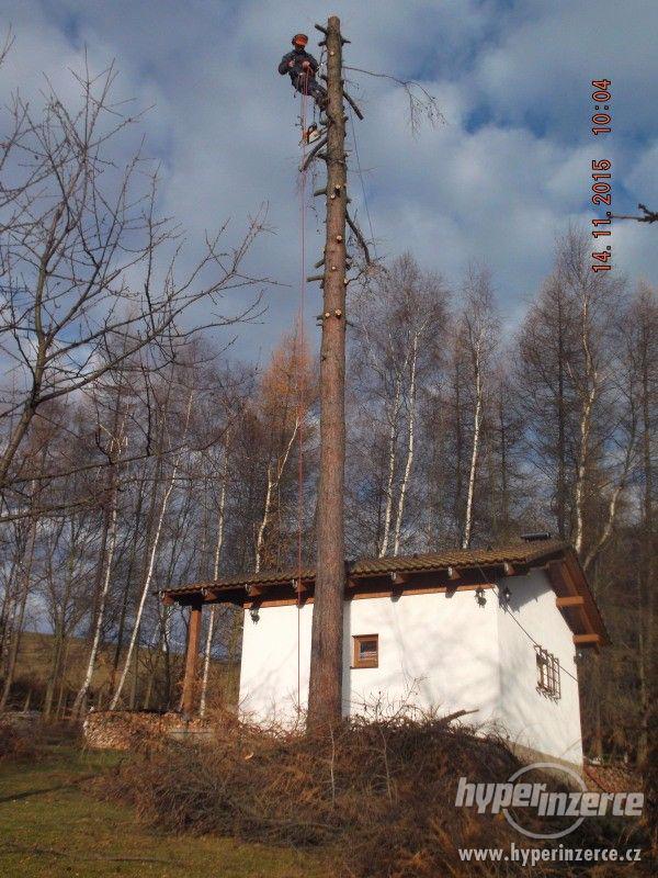 Palivové dřevo rizikové kácení prořez Teplice - foto 3