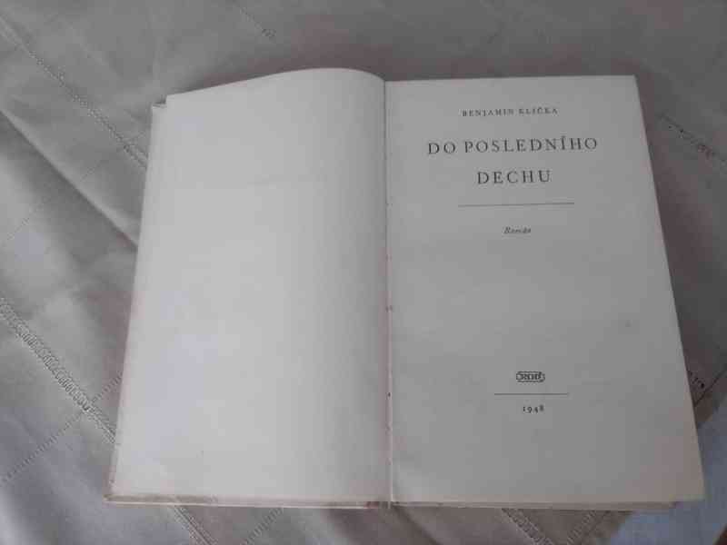 Do posledního dechu - román - foto 2