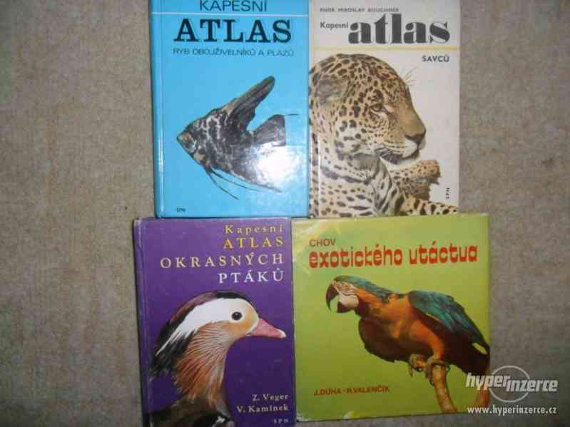 Prodám starší knížky Zvířata celého světa 11 ks a jiné - foto 3