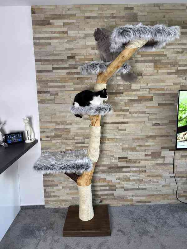 Kočičí strom, škrabadla - foto 1