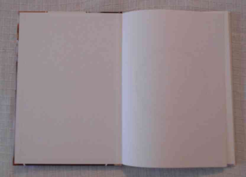 Jana Seifriedová - Tlapky hvězd - 2020 - foto 2