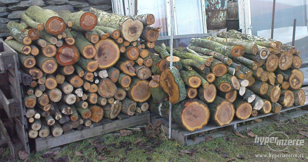 Tvrdé palivové dřevo - švestka, jabloň za 850 - foto 1