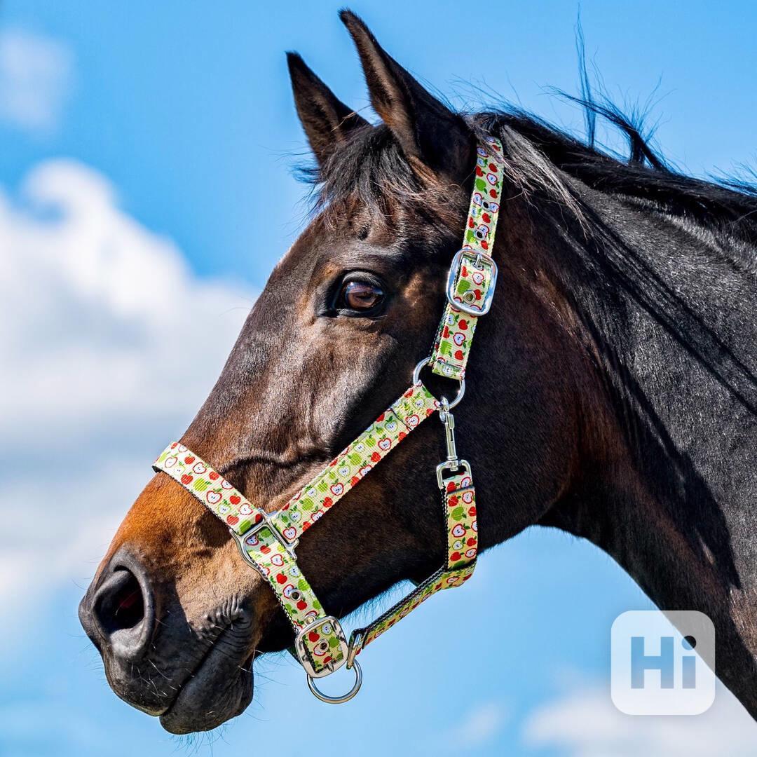 Barevné ohlávky  - foto 1