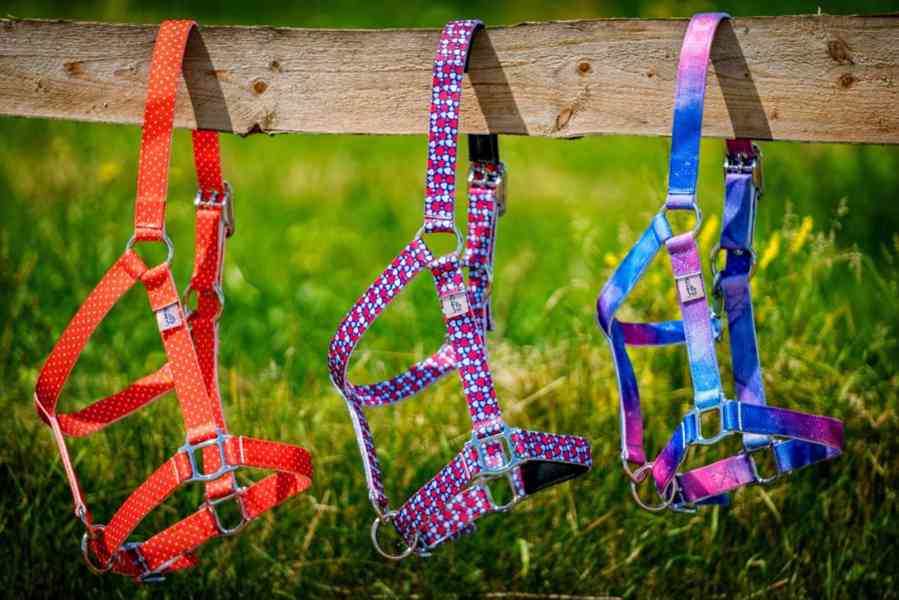 Barevné ohlávky  - foto 6