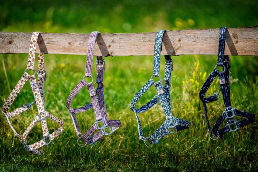 Barevné ohlávky  - foto 5