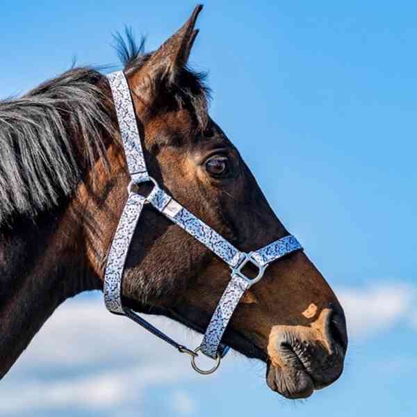 Barevné ohlávky  - foto 15