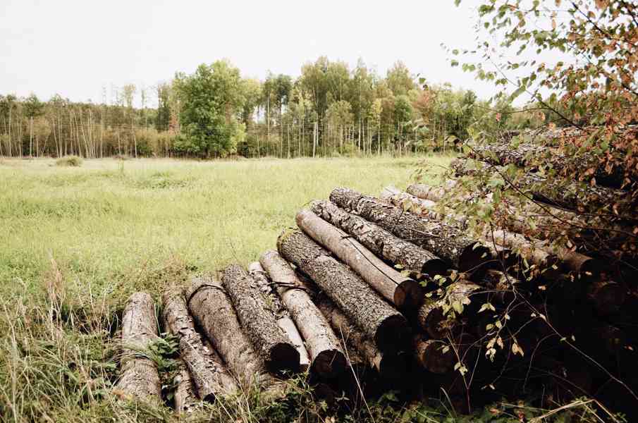 Palivové dřevo - foto 3